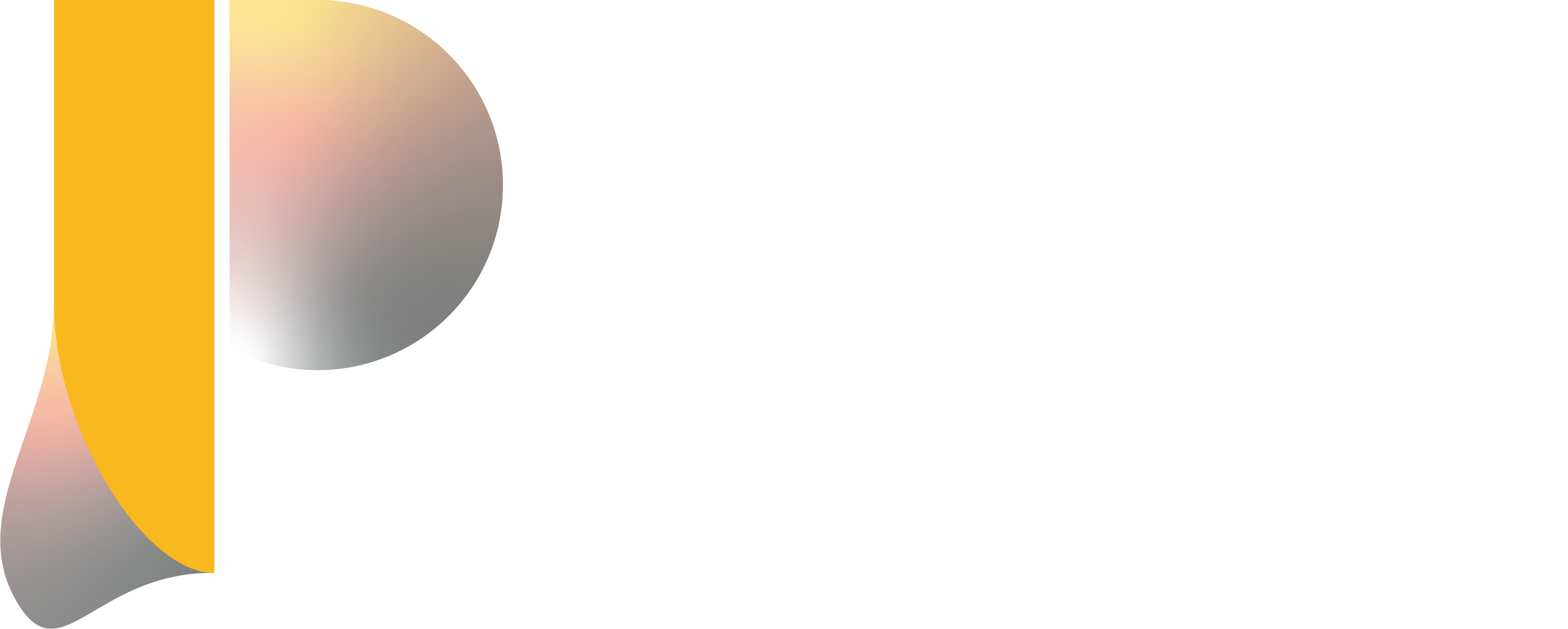 Paladyn Logos